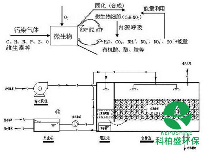 bte365(�й�)Ψһ�ٷ���վ