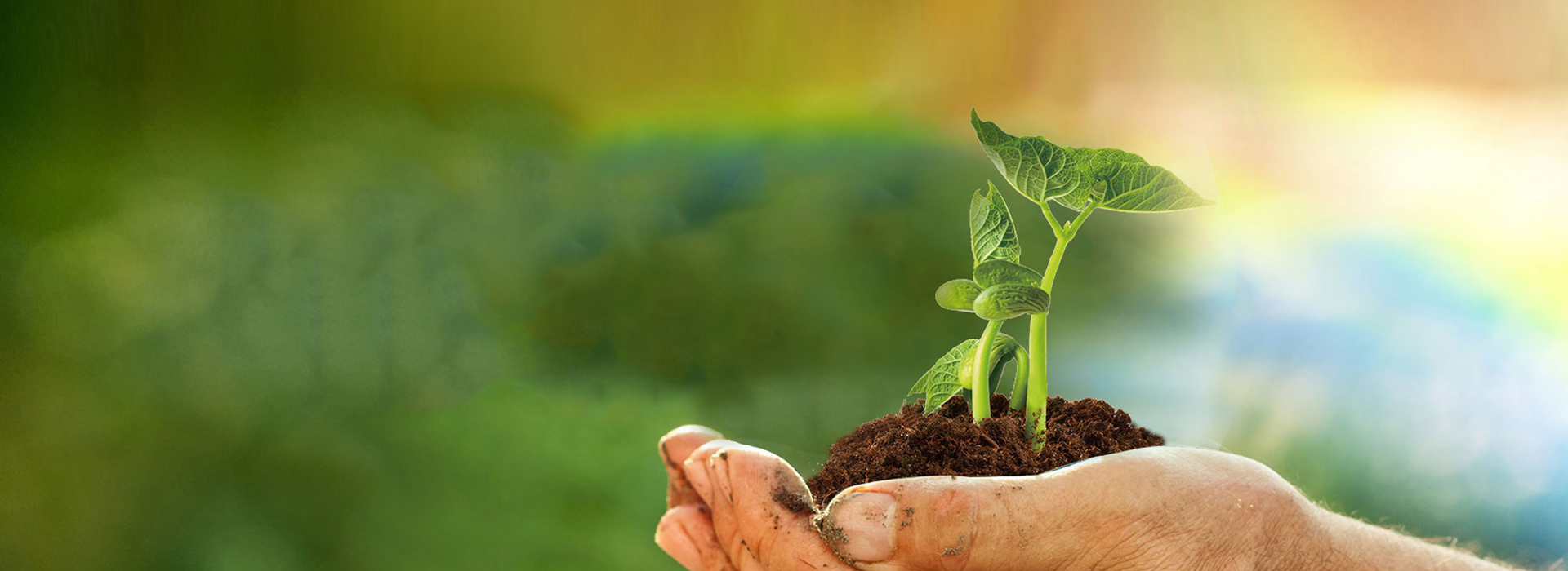 伟德体育 - 综合体育赛事平台|奥体中心相助同伴