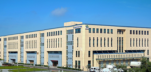 伟德体育 - 综合体育赛事平台|奥体中心相助同伴