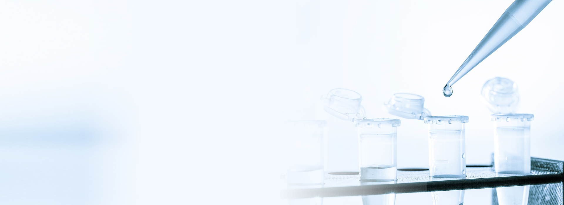 伟德体育 - 综合体育赛事平台|奥体中心相助同伴